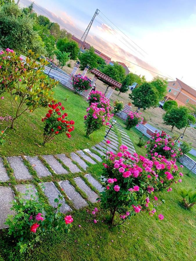 B&B Da Mary Matrice エクステリア 写真